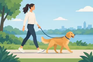 A Loose Leash Walking Guide for Everyday Walks