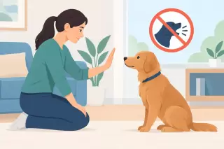 How to Stop Demand Barking Without Mixed Signals
