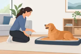 How to Teach Your Dog the Place Command